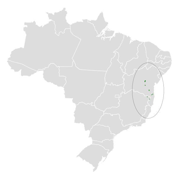 File:Phylloscartes beckeri map.svg