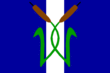 Vlag