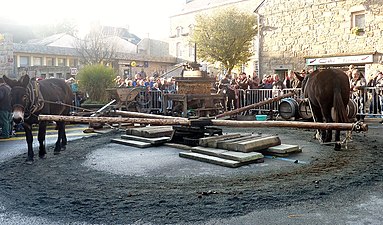 Pressoir à cidre à l'ancienne, actionné par un manège de chevaux durant la fête des tisserands de Quintin.