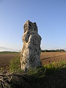 Le menhir dit la Pierre Clouée ou Pierrefritte.