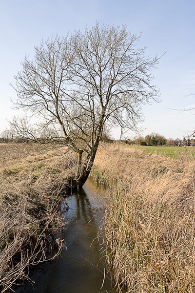 File:Drainage ditch south of Bishopstoke - geograph.org.uk - 1756402.jpg