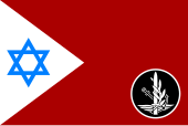 סמל ודגל האגף