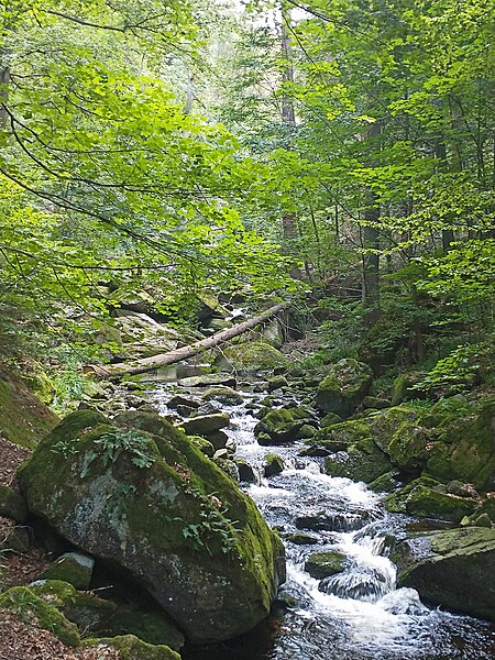 File:Ilsenburg The Ilse in Harz National Park 3.jpg