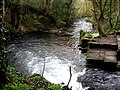 River Frome at Stroud