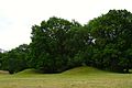 Rivierduinen