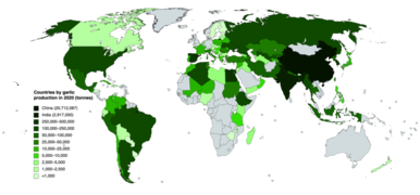 Countries by garlic production in 2020.png