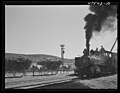 Freight train used in hauling cane to the mill from loading stations (1942)