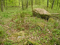 ND CLP 00076 Großsteingrab im Fuhrenkamp