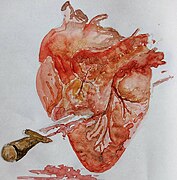 Pierced heart using sword.jpg