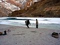 Porters are collecting drift wood for fire