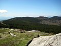 View from Black Balsam Knob