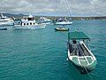 Bateau-taxi dans le port de Puerto Isidro Ayora, sur l'île Santa Cruz aux Galápagos.