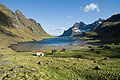 Mai 2014: Bunesfjorden in der Gemeinde Moskenes auf den Lofoten