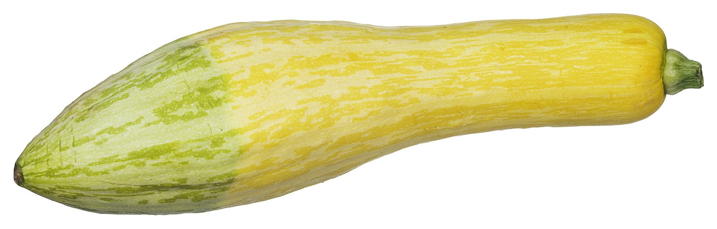 Summer squash