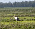 Passinhos, Rio Grande do Sul, Brazil