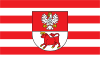 Vlag van Bielsk Podlaski