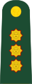 General de división (Peruvian Army)[24]