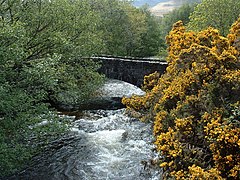 Scallastle river - geograph.org.uk - 177029.jpg