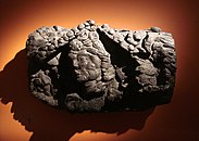 Burnt wooden head of a woman, Kala-i Kakhkakha I palace, 7-8th century, National Museum of Antiquities of Tajikistan