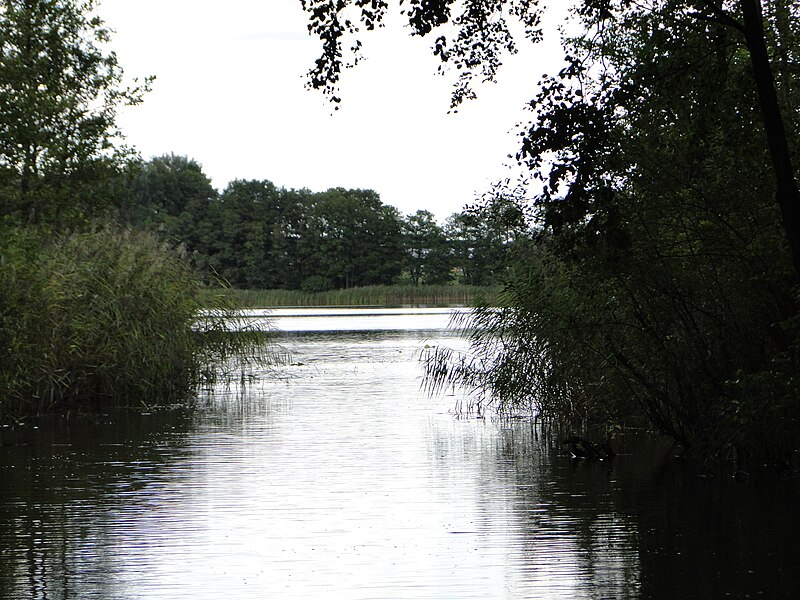 File:Granzin (Kratzeburg) Havel Granziner See 2010-09-03 224.JPG