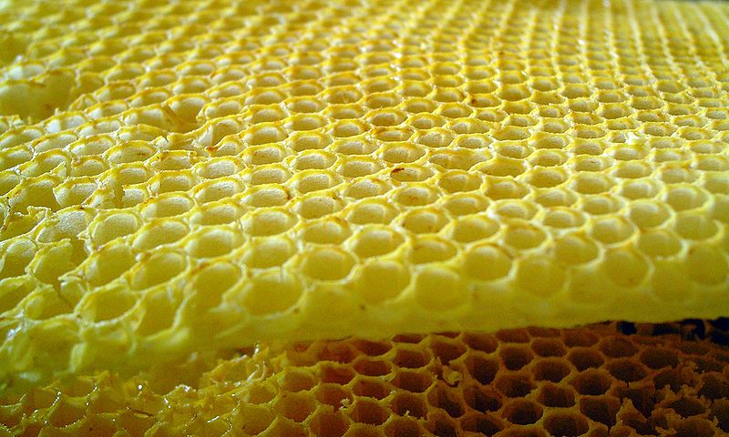 File:Honeycombs-rayons-de-miel-3.jpg