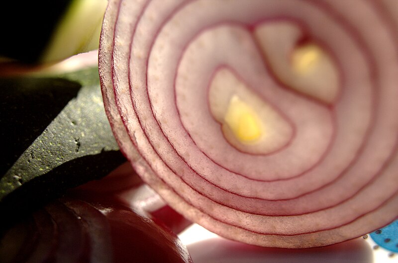 File:Red onion closeup 2.jpeg