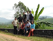 group sitting on a wall