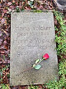 Hans Völcker -  Bild