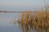 Село Пилява, пейзаж