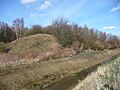 Rüpingsbach im Naturschutzgebiet An der Panne