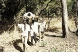 Gewonde in de vrijheidsstrijd van Guinee-Bissau op geïmproviseerde brancard naar Senegal, 1974.