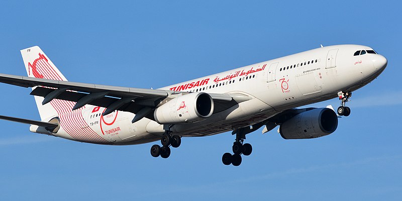 File:Airbus A330-200 TS-IFM تونس - TunisAir - 47091908441.jpg