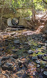 Tributary Arroyo Ojo de Agua at Stulsaft Park