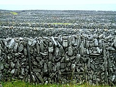 Clôtures champêtres avec nombre de pierres posées en délit, et appareil en désordre, Inis Oírr (Irlande)