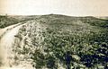 Photo taken in 1894 by H.R. Locke on Battle Ridge looking toward Last Stand Hill (top center). To the right of Custer Hill is Wooden Leg Hill, named for a surviving warrior. He described the death of a Sioux sharpshooter killed after being seen too often by the enemy.[238][239]