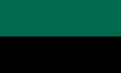 Vlag van de gemeente Texel