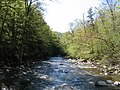 Image:NY Chittenango Falls Facing Away.JPG