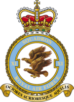 Squadron badge