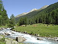 Schwarzach im oberen Defereggental