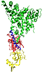 Ribbon diagram of the Dicer enzyme from Giardia intestinalis