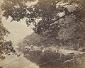 Nainital lake, towards Mallital,1865.