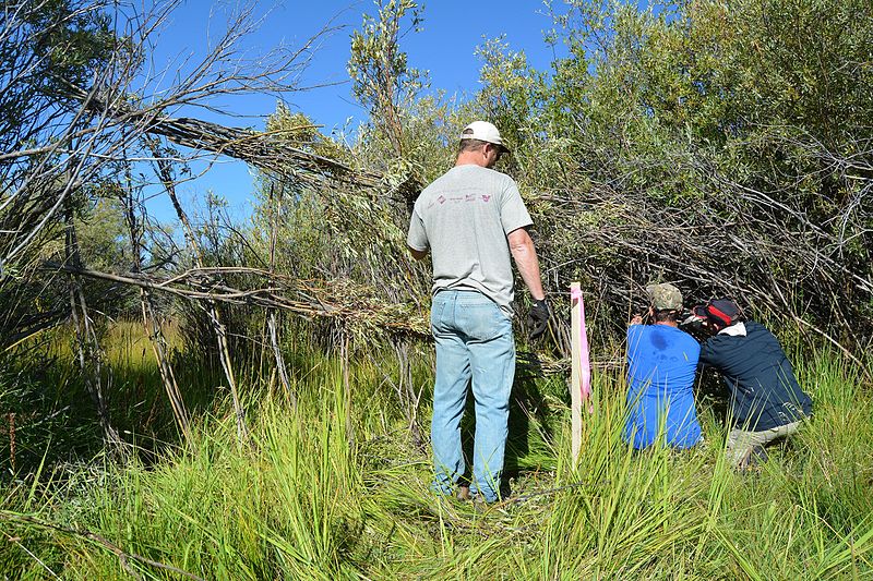 File:BLM Pinedale Field Office in Wyoming Celebrates National Public Lands Day (15477265122).jpg