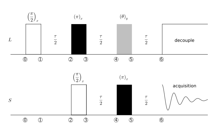 The basic pulse sequence for the DEPT NMR experiment