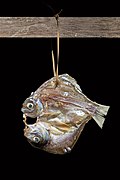 Mekong fish (pa tak or ປາຕາກ in Lao) hanging on a rack and drying in the sun, in Don Det.