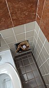 Sanitary napkin bag holder used as sanitary bin.jpg