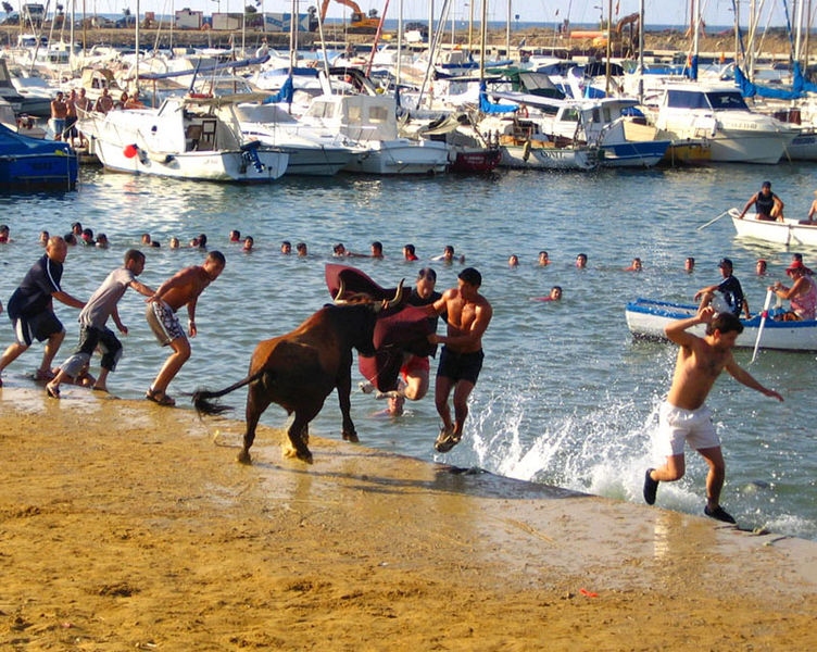 File:Bous a la mar (dénia).jpg