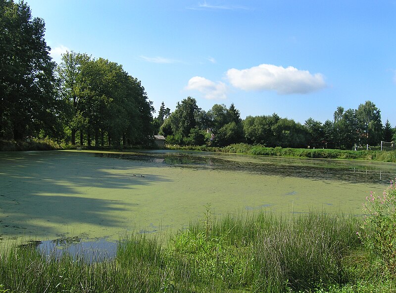 File:Chotýšany, Prostřední pond.jpg