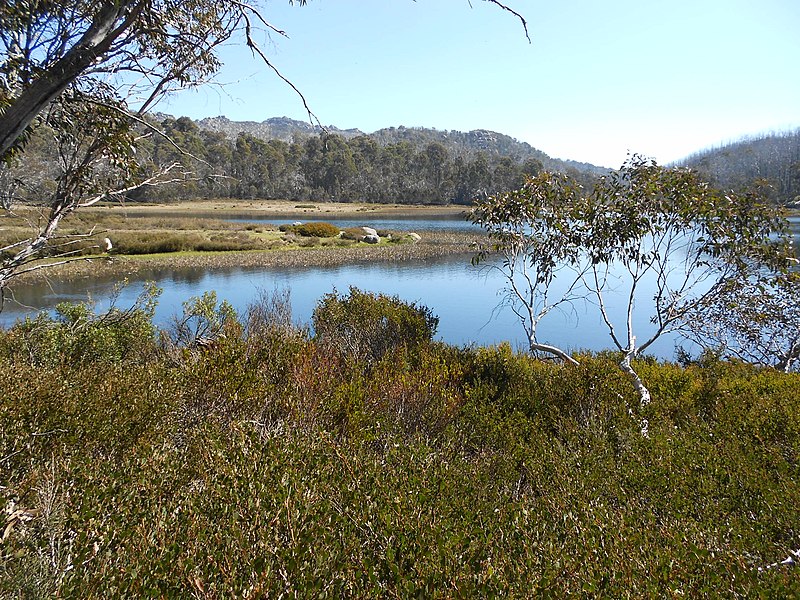 File:Lake Catani, Mount Buffalo - panoramio.jpg