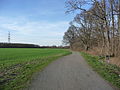 Naturschutzgebiet Mengeder Heide