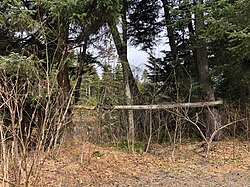 A saddle on a hitching post in Bear Creek CDP